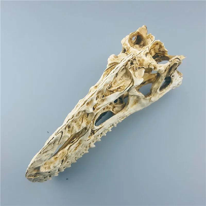  Mrzoot Resin Dinosaur Skeleton Model Monolophosaurus Specimen Animal Research Teaching Decoration - 32872207998