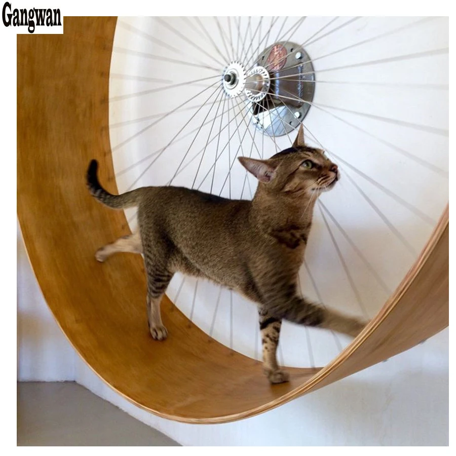 5D DIY Алмазная картина мозаика Кот Поворотное Колесо Вышивка крестом Алмазная вышивка милый котенок декорирование дома со стразами домашних животных