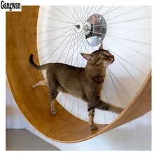 cat workout wheel