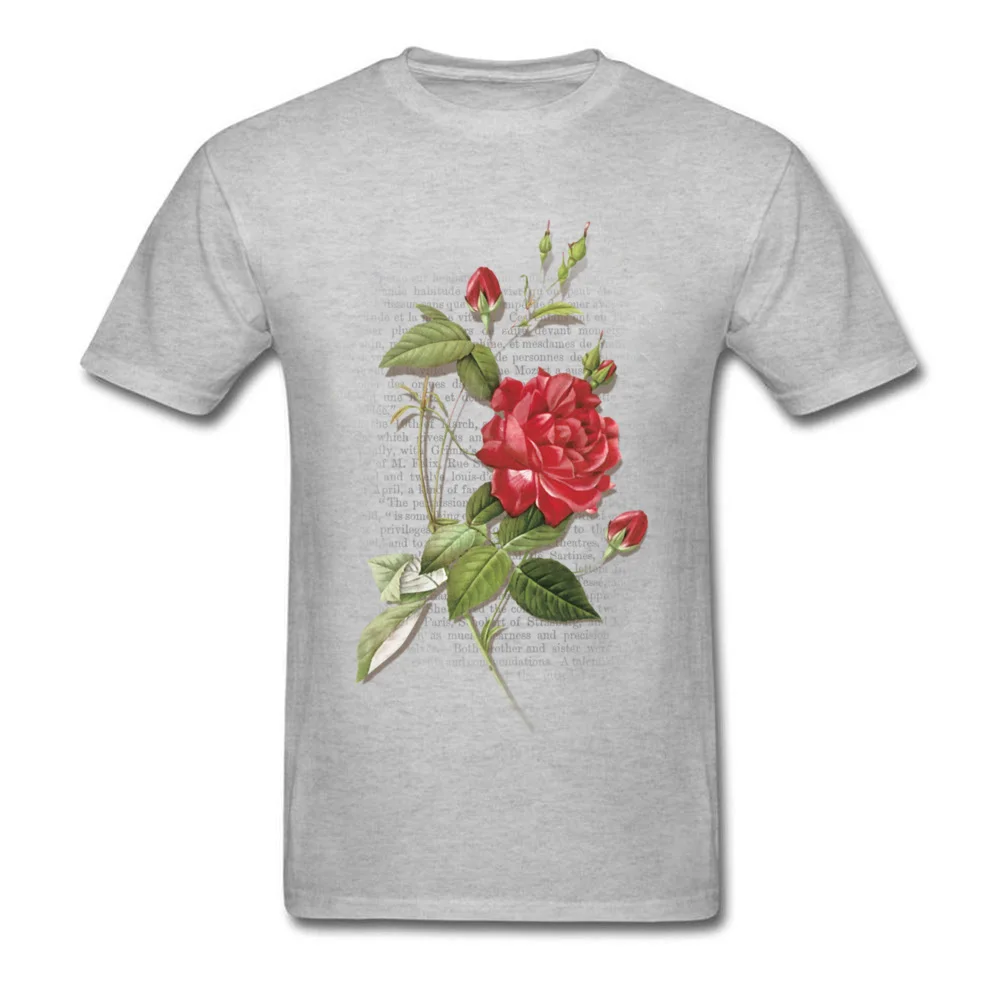 Rose Rouge Red Rose_grey