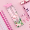 Bpa Free 750ml 100%Tritan Sports Outdoor Straw Water Bottle With Flamingos Printing My Drink Juice Handle The Unicorn Kettle 1