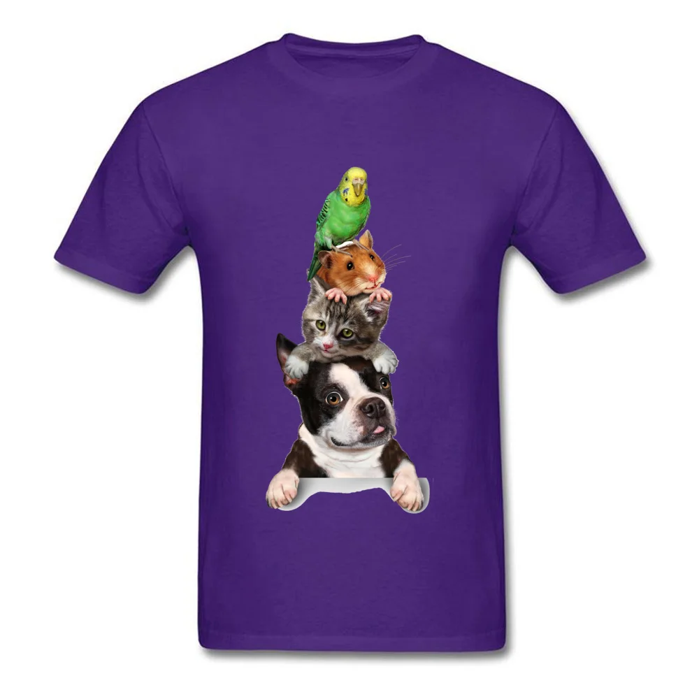 02aef6605490070d259d38d14c2b8792_purple