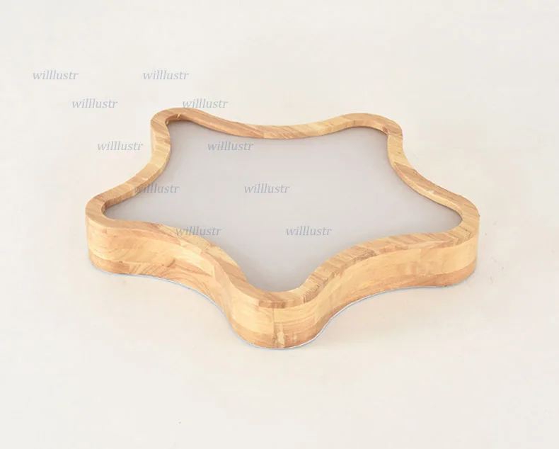 ceiling light  (11)