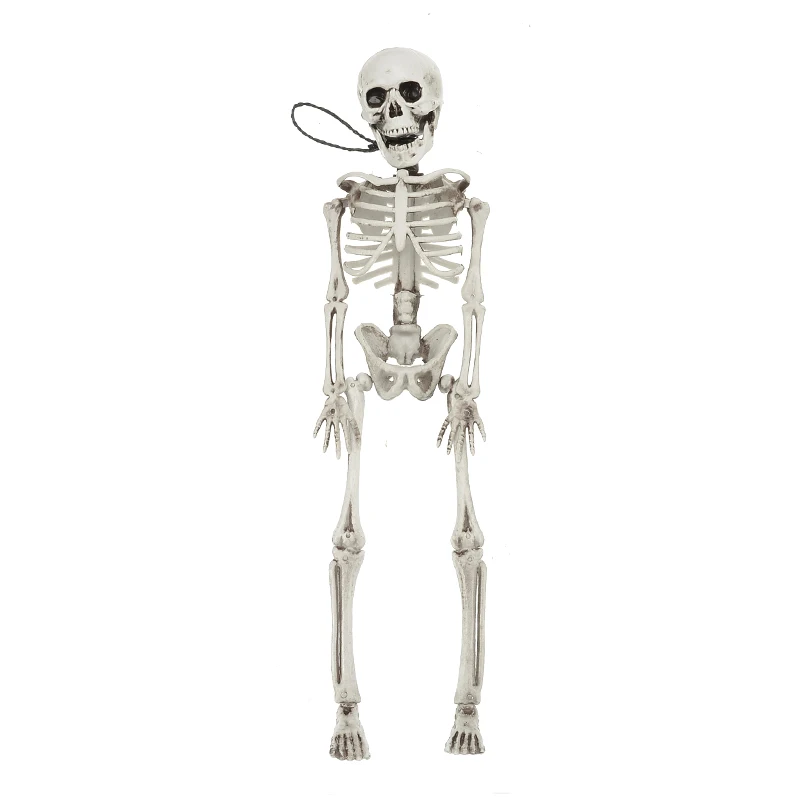 Новое поступление 40 см Гибкая анатомическая Анатомия человека кость медицинская модель скелета медицинская помощь для обучения Анатомия Искусство Эскиз