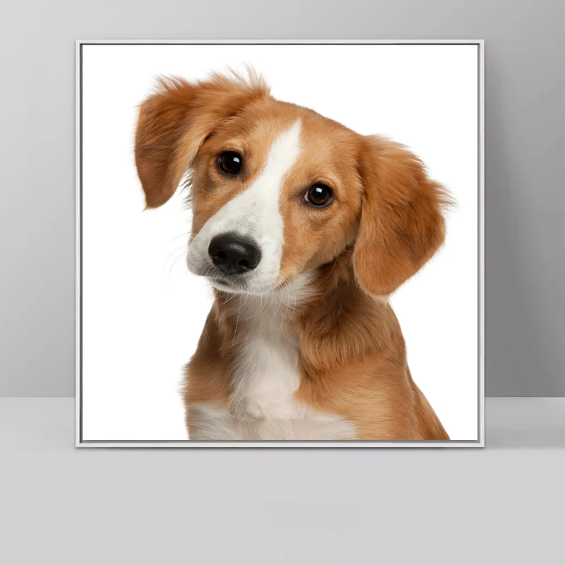 Hd Dogs Oil Painting Frameless Picture Painting Printed On Canvas