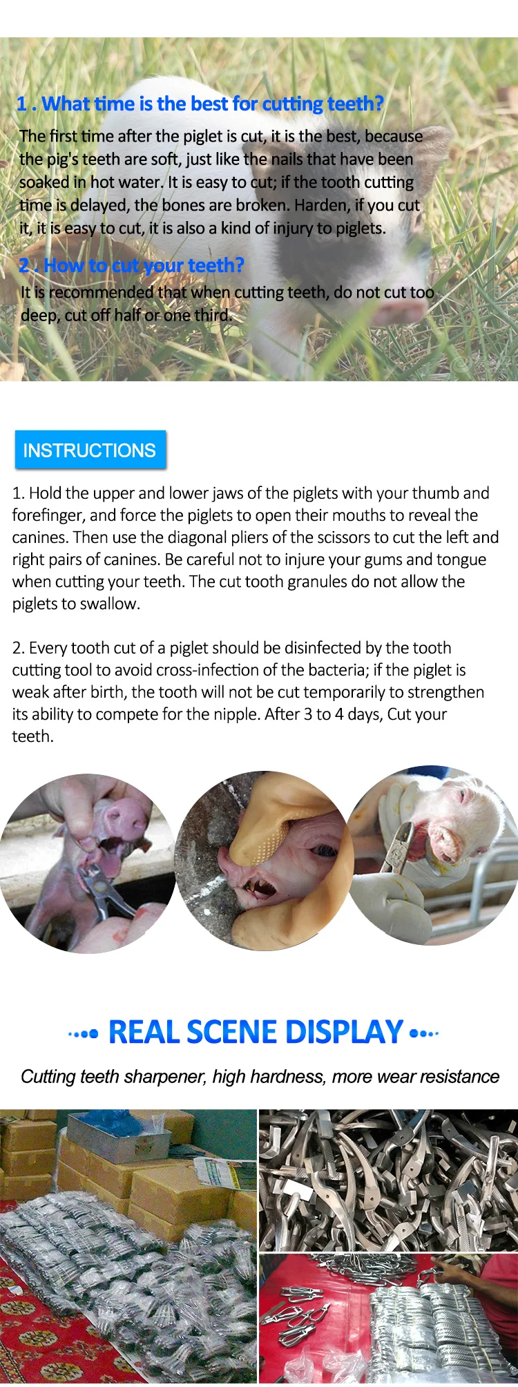 Teeth-cutting-pliers_06