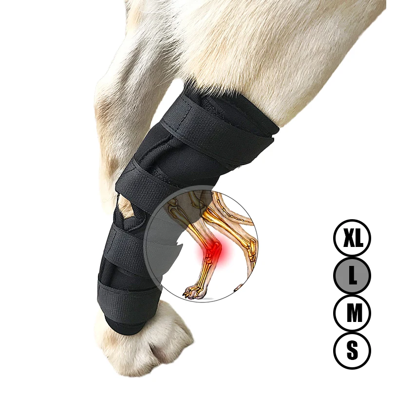 Dog Canine Rear Leg Knee Brace Hock Joint Wrap for Heals and Prevents Injuries and Sprains Helps with Loss of Stability (S-XL)