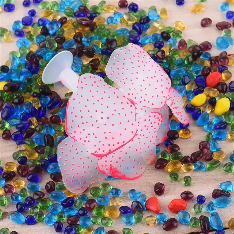 JYCW0178RE0ZZ001 (6)