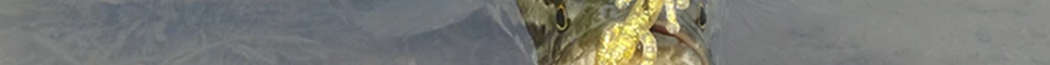 eng_50