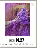 AeProduct.getSubject ()