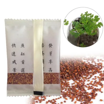 

Water Grass Seed Fish Tank Landscape Water Seed Seeds Clover Fish Aquatic Products Decorations