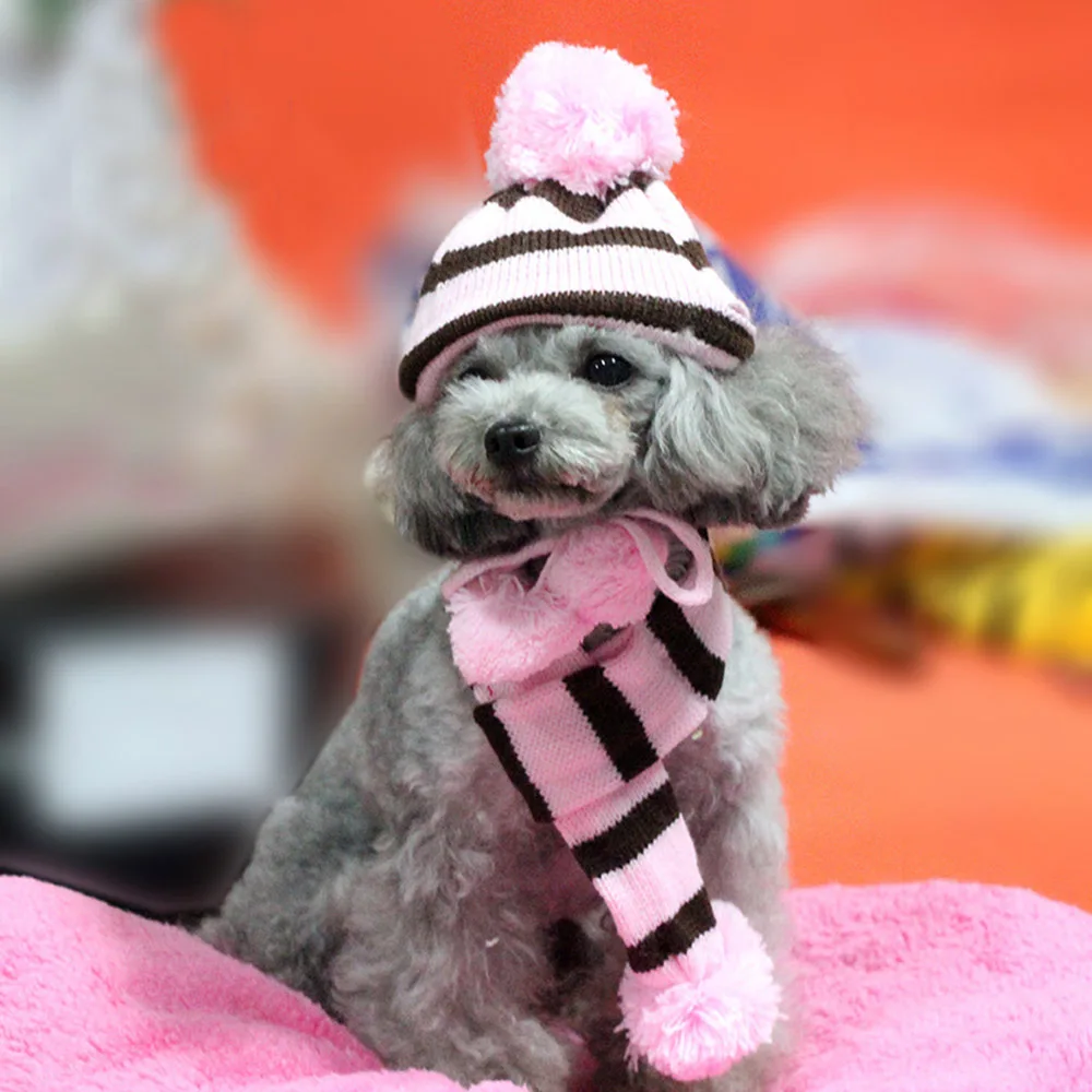 Sqinans 3 цвета шапочка для домашних собак с шарфом и наколенники костюмы щенок собака кошачьи шапки зима полосатый вязаный гетры Радуга