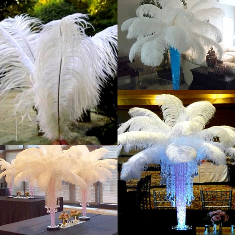 

10PCS / lot feather Explosion models 15-60CM / 6-24 "inch white ostrich feathers wedding party hair decoration