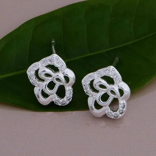 

wholesale women's jewelry silver Fashion jewelry errrings WE-644