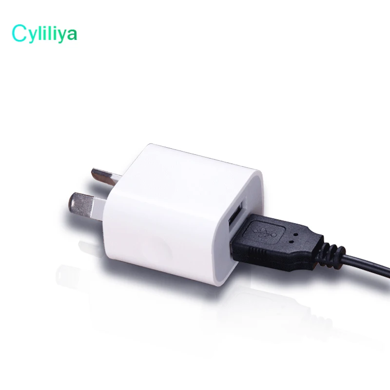 Cyliliya 10 шт. белый двойной интерфейс 5 в 2A AU вилка USB настенное зарядное устройство Блок питания для путешествий универсальный для смартфона
