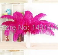 

Wholesale 10 pcs/ lot high quality Rose ostrich feathers 18-20inches /45-50cm DIY jewelry decoration / wedding celebration