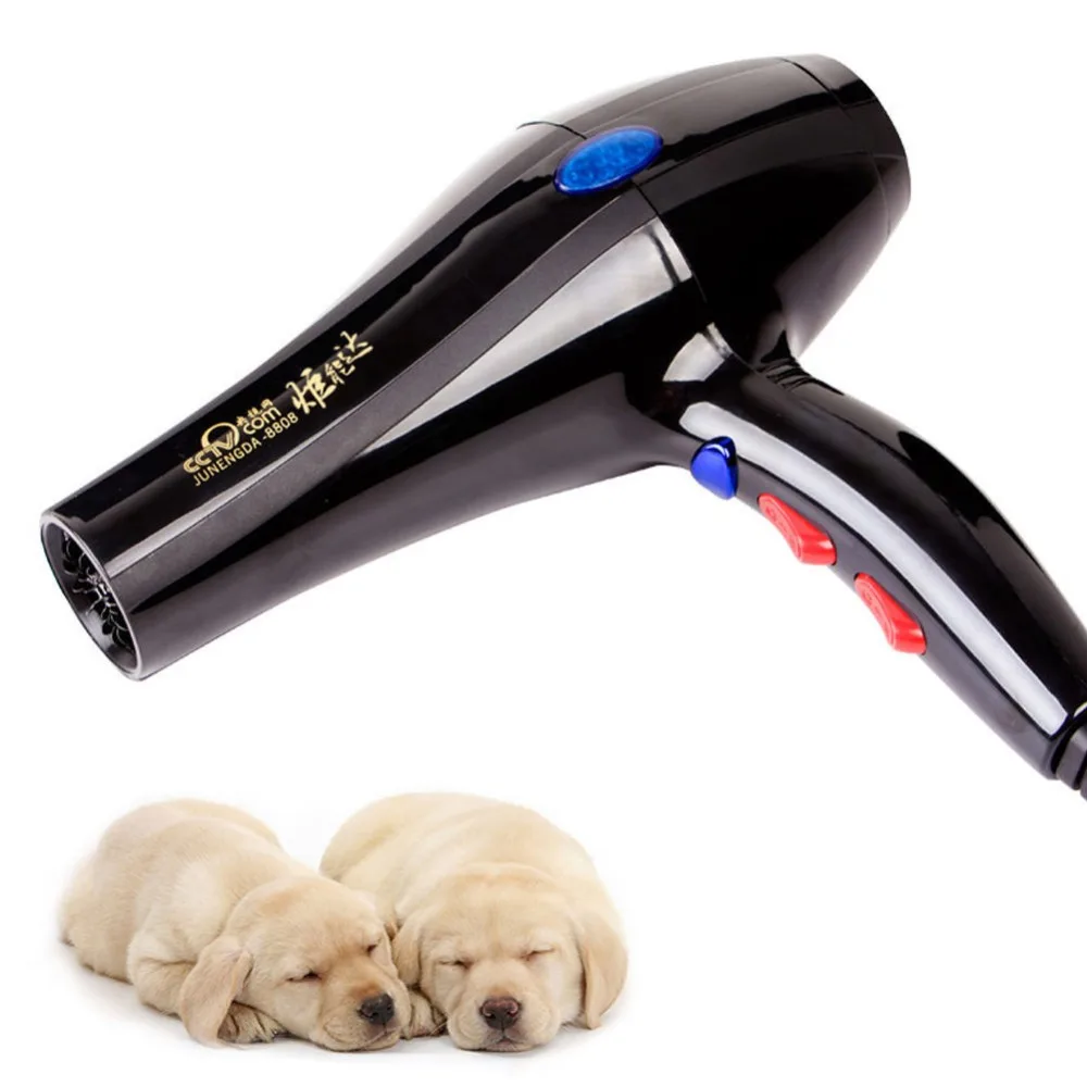 220V High Power Pet Hair Dryer Mute Household Blowing Hair Dog Cat Hair
