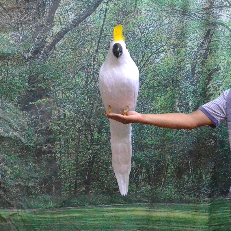 Огромные моделирования Белый попугай модель полиэтилен и меха большой Какаду игрушка в подарок около 80 см