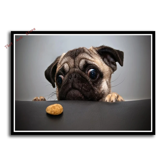Funny Dog Art Prints Pet Puppy Hipster Animals Wall Paintings Nursery