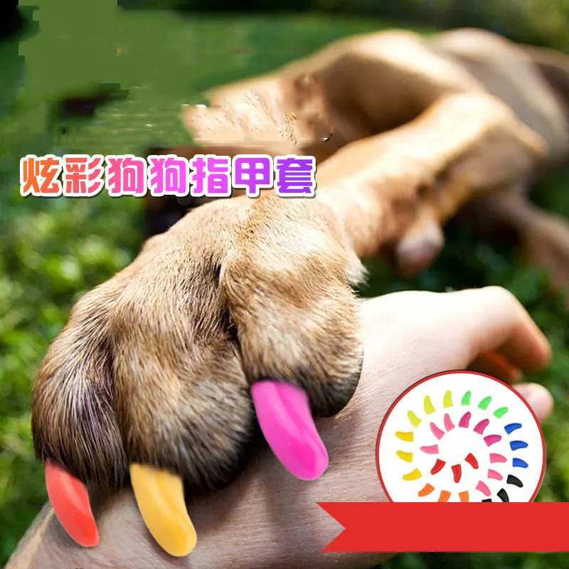 AHUAPET 100pcs Nail Caps For Cat Cat Accessories Grooming Nail Caps Paw