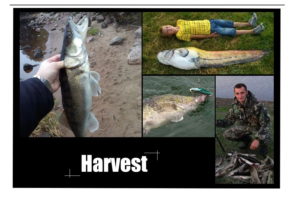 Pesca à Prova Caixa de Armazenamento de Acessórios Peixe Fishing Lure Box High-capacidade Recipiente Isca Gancho Definir d' Água Case Ferramentas Rei 1 pc Fly 15 Cheap Caixa p equipamento de pesca