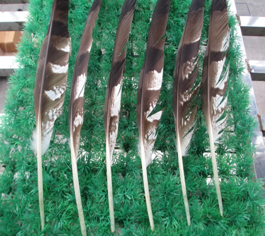 100pcs beautiful natural eagle feathers 30 35 cm 12 14 inch Beautiful stripe patternin Feather