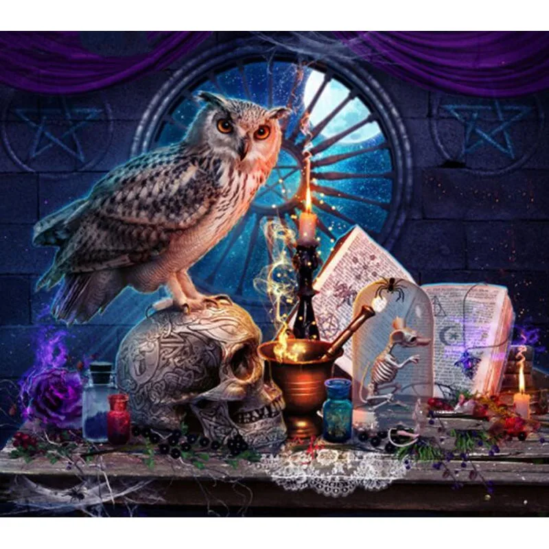 Алмазная вышивка мультяшная сова черепа книга 5D алмазная живопись крестиком
