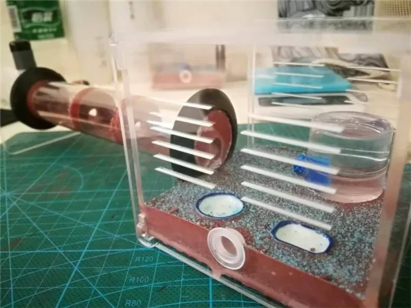 one tube nest (20)