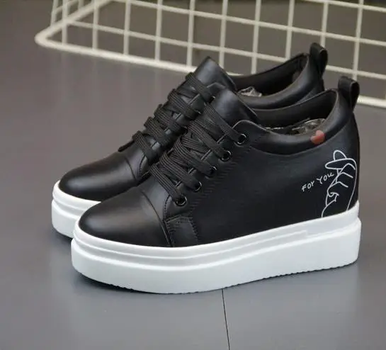 36020181229221933287