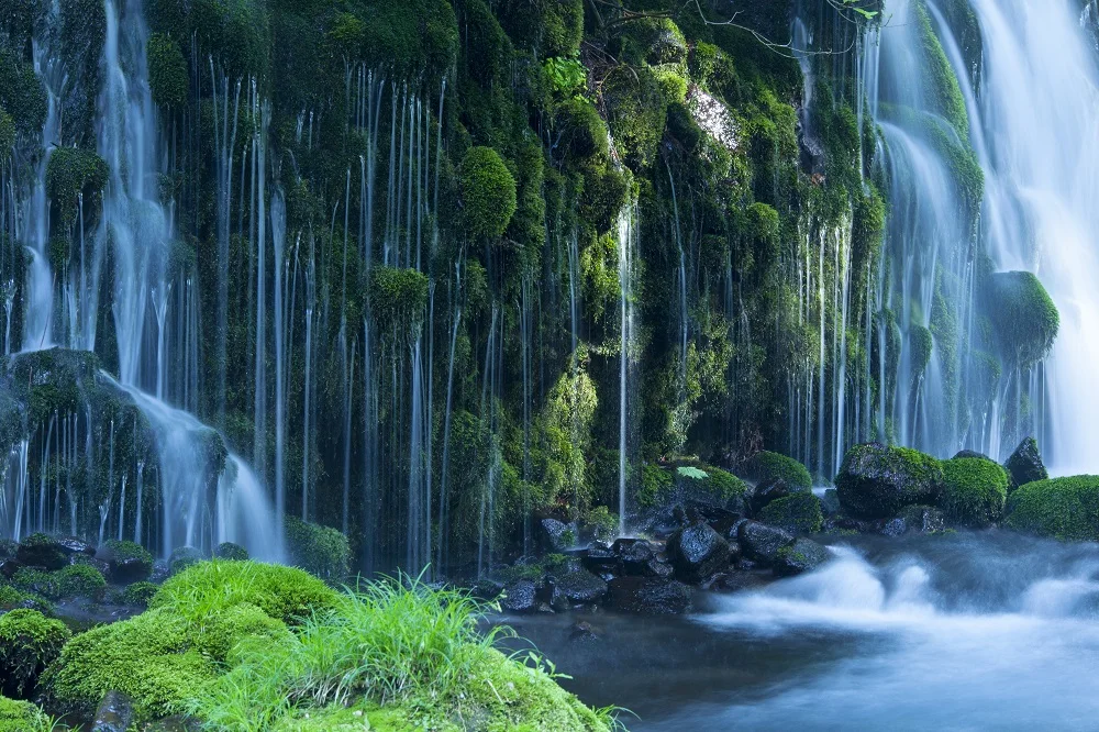 shutterstock_152034569