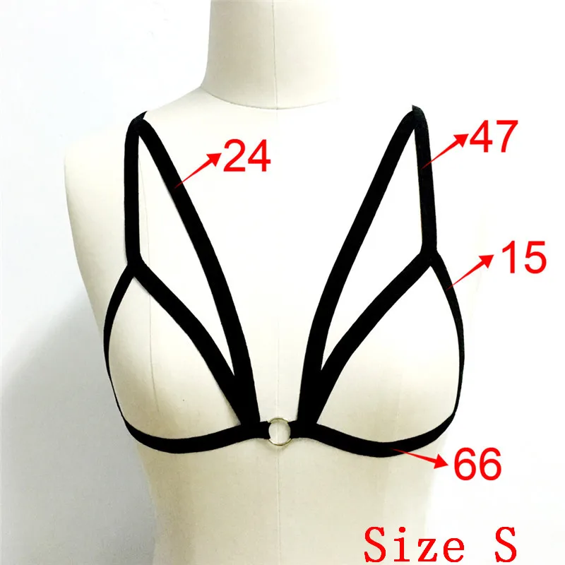 CWE0052 (1)