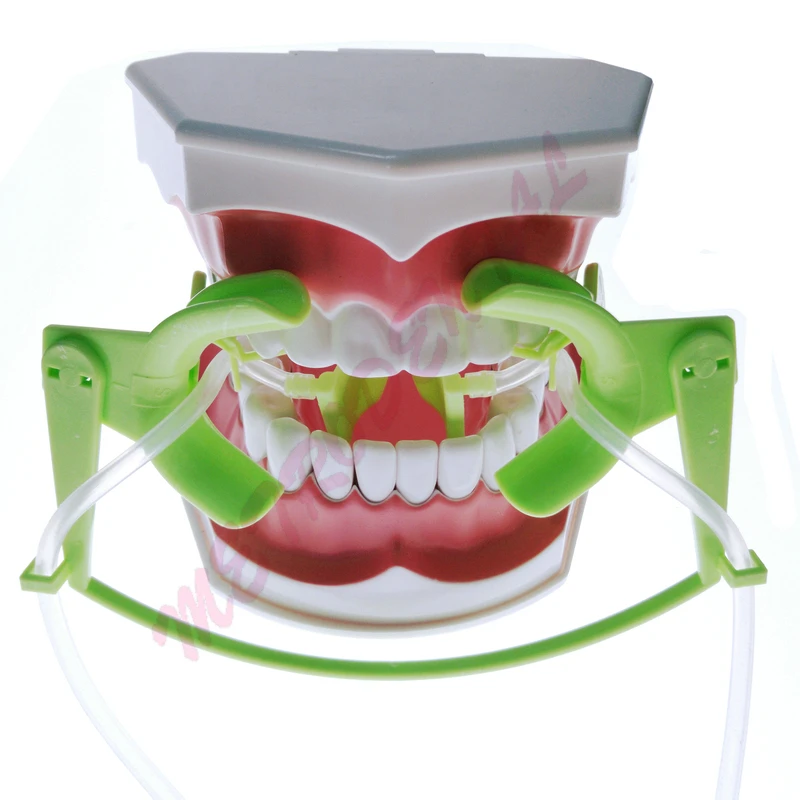 

Dental Oral Dry Field System Nola Retractor Lip Cheek Retractor and Mouth Opener with Suction System Size Small for Kid