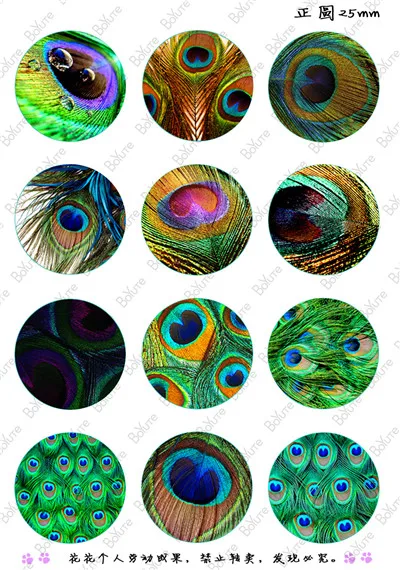 

12Pcs Round Cabochon Mix Leopard Tower Feather Image 25MM Glass Cabochon