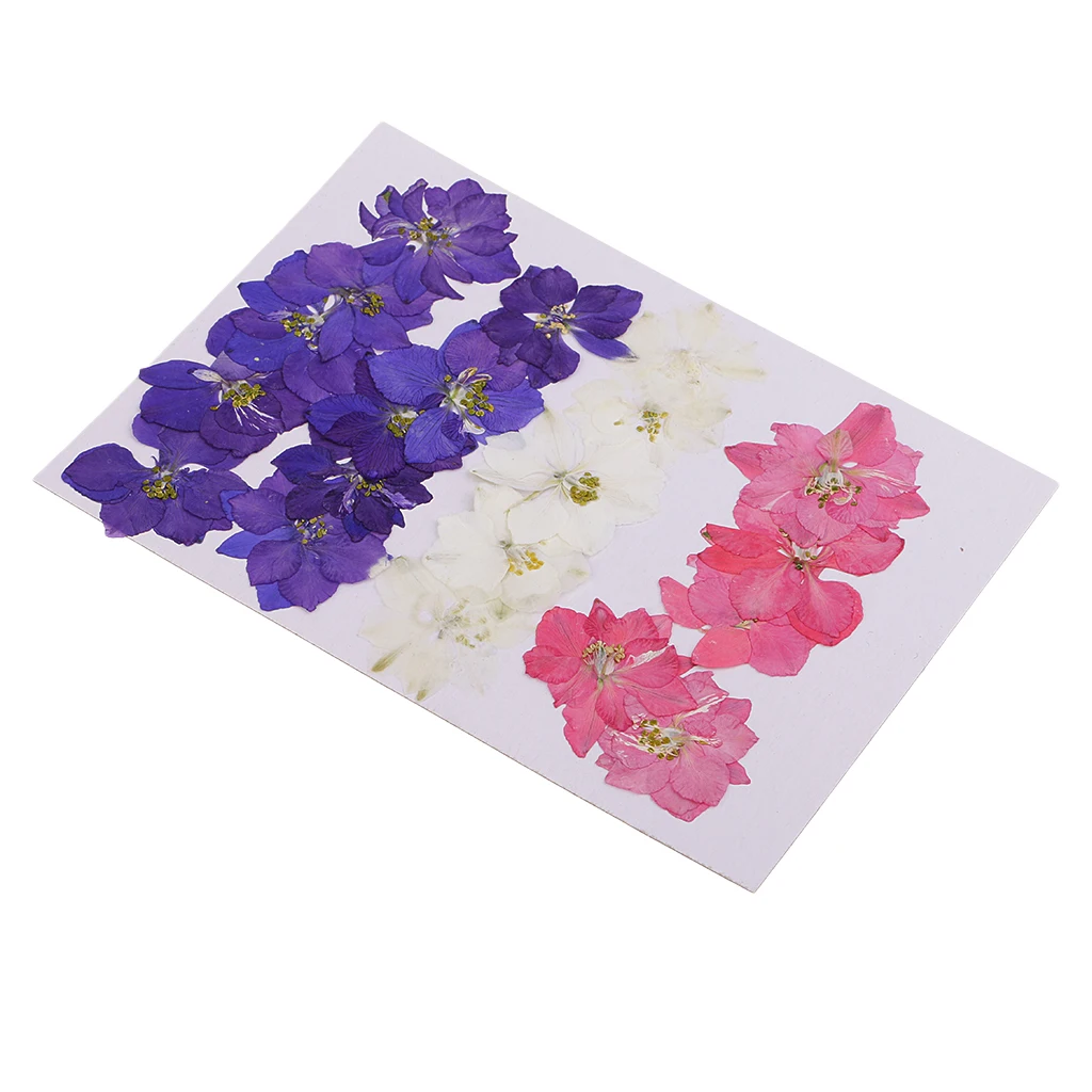 20 Pieces Pressed Flowers Real Delphinium Dried Flowers for Jewelry Making Crafts Candle Making DIY Resin Ornament Artificial
