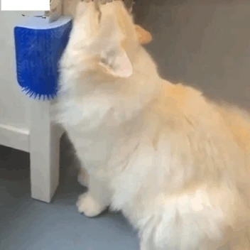 Resultado de imagem para massageador de parede para gatos gif"