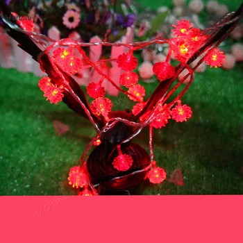

Outdoor decorative lantern Plug Garden string romantic atmosphere lamp red Lantern New Year festive lighting CD50 W02