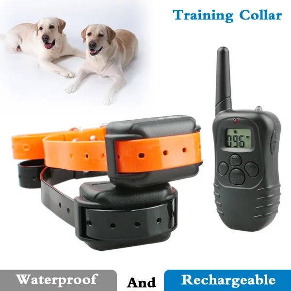 17 Electric Training Collar For Cats Photos