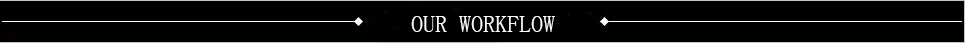 our workflow