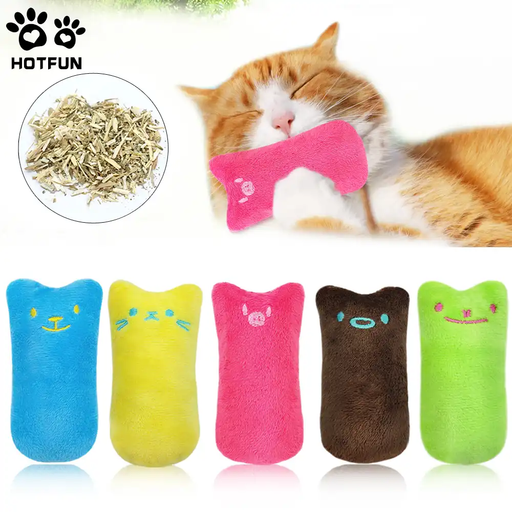Jouet Chatons D Animaux En Peluche 5 Couleurs Morsure De Pouce Chat Menthe Chien Macher Chat Oreiller Interactif Formation Fantaisie Jouet En Peluche Aliexpress