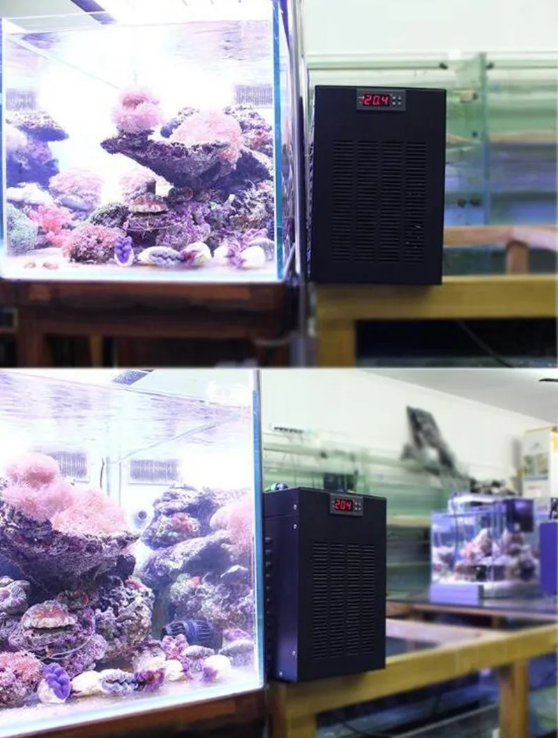 Аквариум охладитель водяной охладитель 1/10HP подходит аквариум менее 160L для коралловых рифов Медузы креветок водные растения