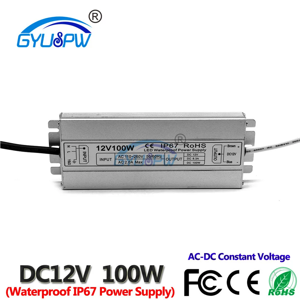 12V100W