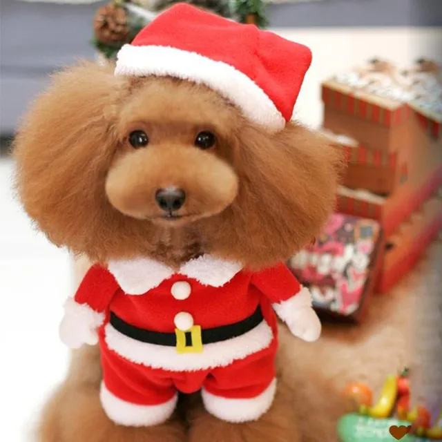Warm Cotton Three Dimensional Christmas Dog Clothes Cute New Year