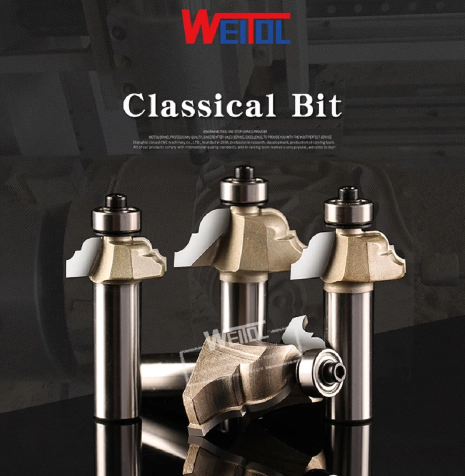Classical Bit (1)