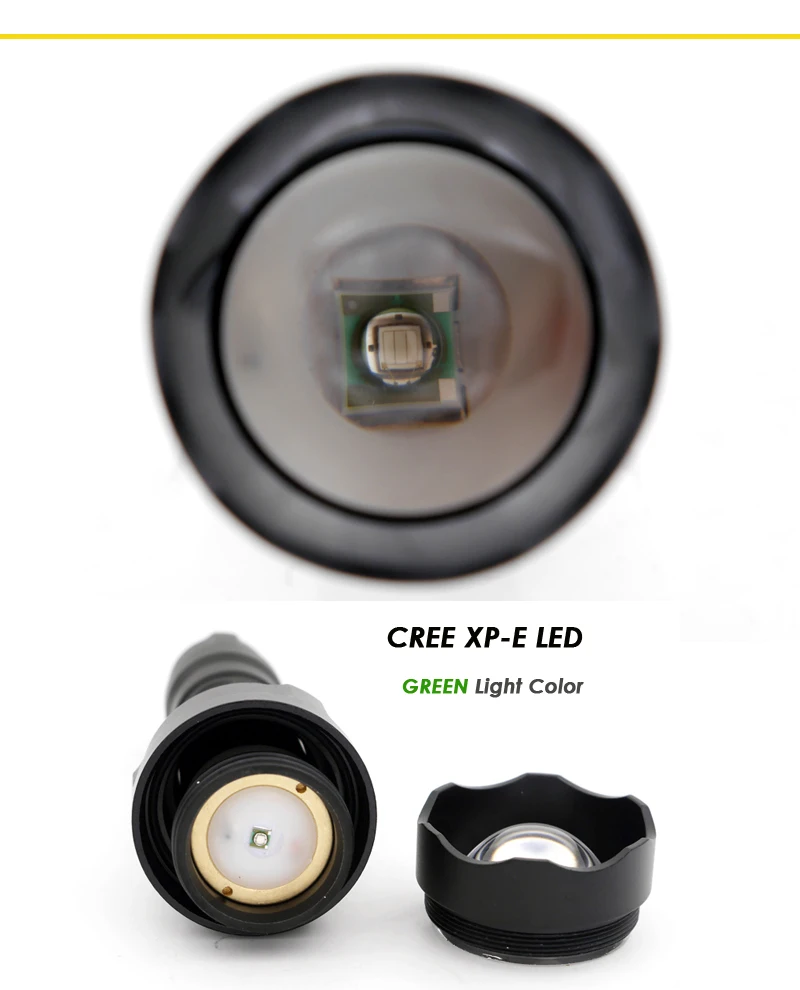 C8s green light (3)