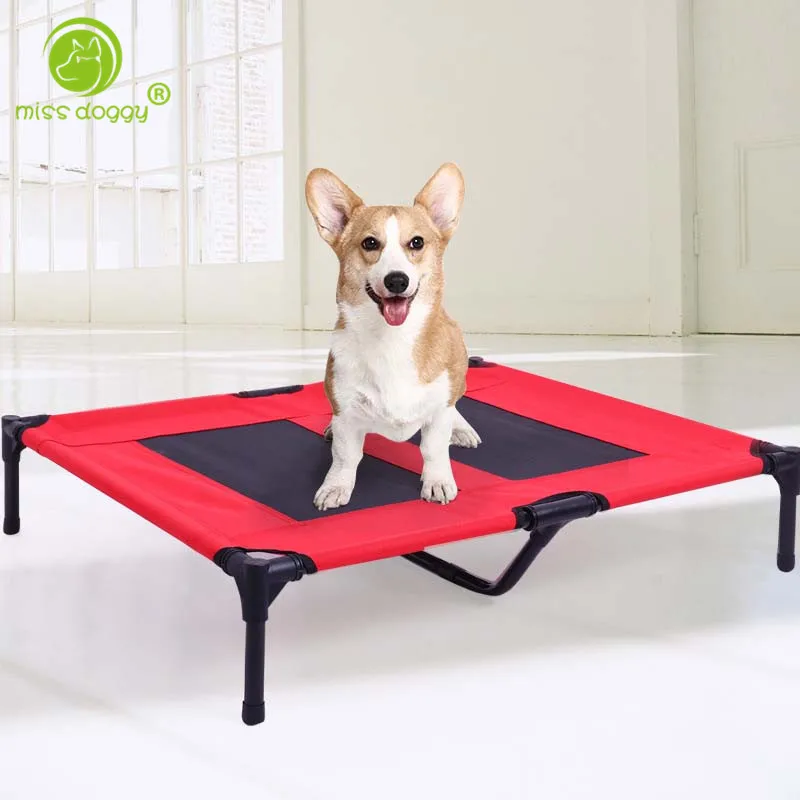 Newly Design Fashion Trampoline Pet Dog Beds High Quality Strong Durable Beds for Small Dogs