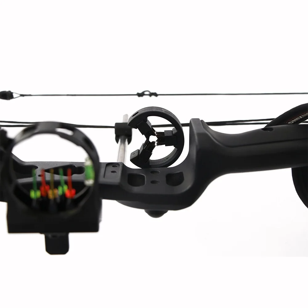 IMG_0446