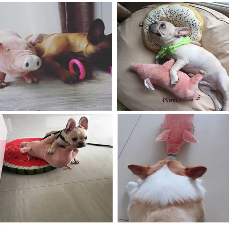 TB2iKkqX9_9F1JjSZFrXXcrVFXa_!!58305263