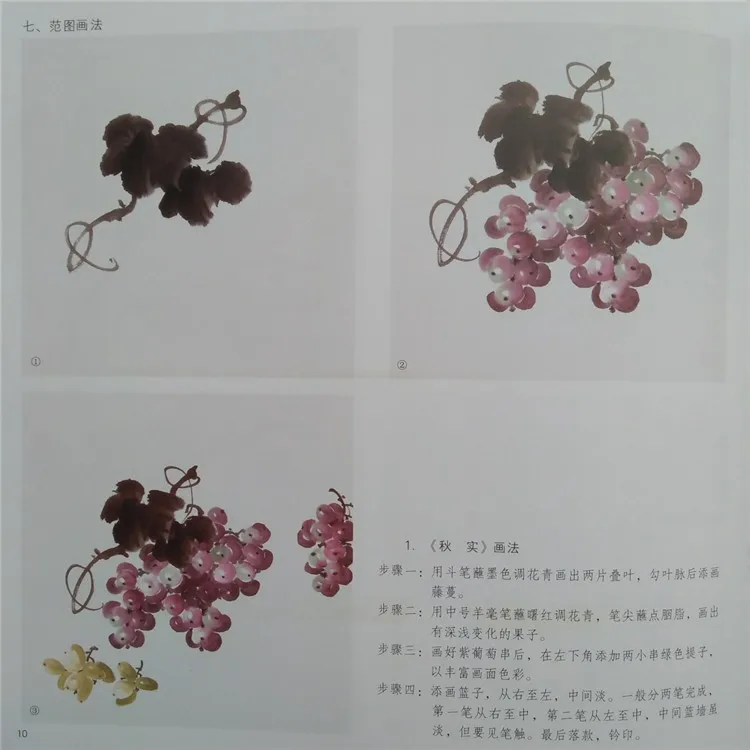 Традиции китайской живописи технических навыков-как рисовать винограда написан Цзян-Тао Цзэн