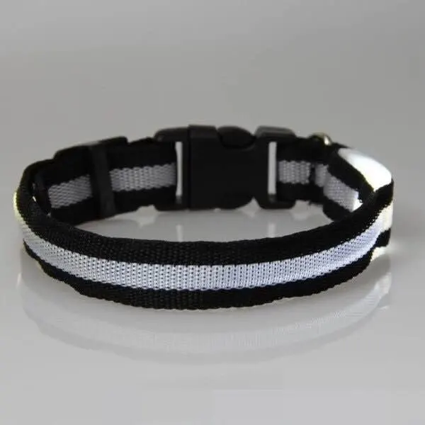 LED Safety Dog Collar