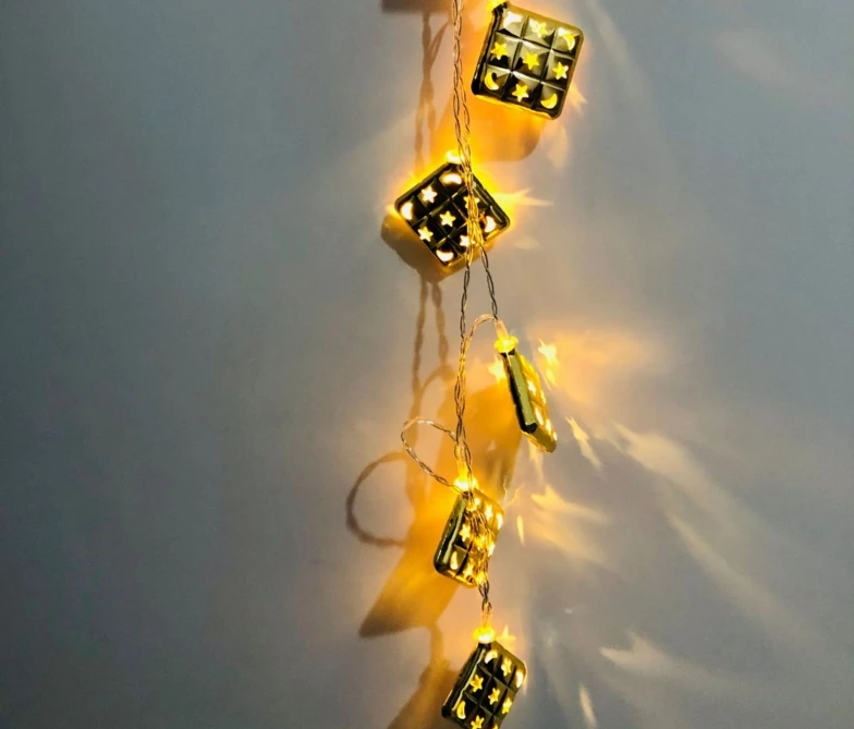 马来棕14